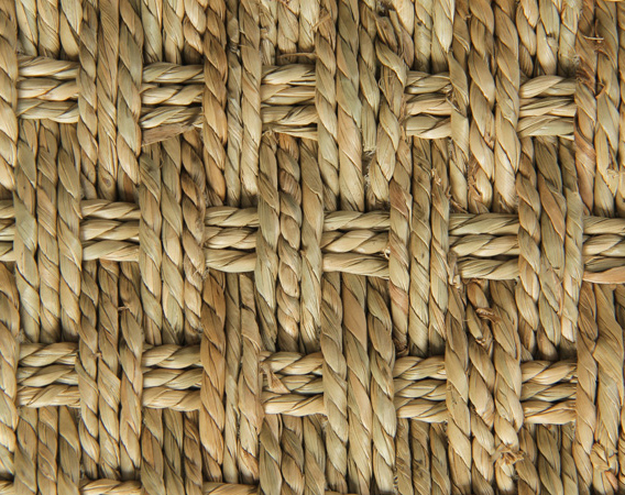 Seagrass Carpet